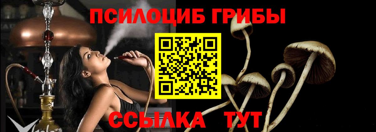 Псилоцибиновые грибы Psilocybine cubensis  Вход с VPN  Кимовск  Галлюциногенные грибы ЛСД 