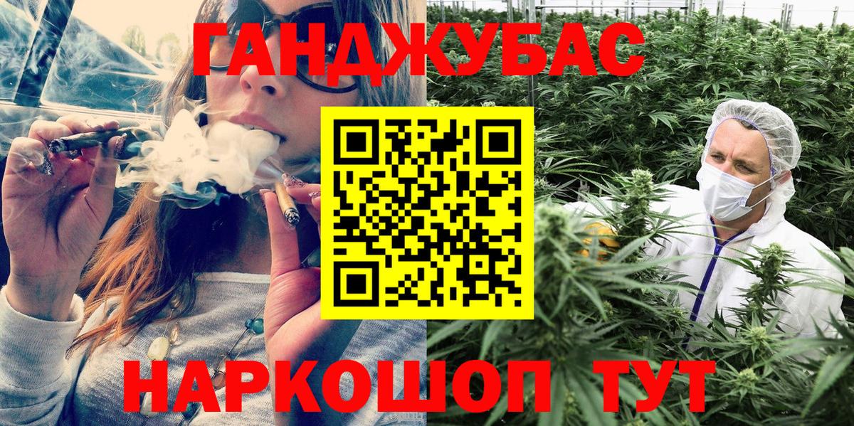 Шишки марихуана тримм  Вход с VPN  Кимовск  Бошки марихуана планчик 